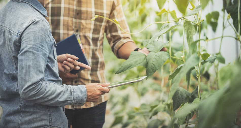 enxeñeiros agrícolas en Lugo